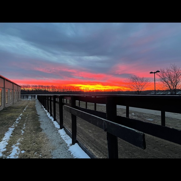 Meet your Posher, Kellyn - Picture 1 of 1